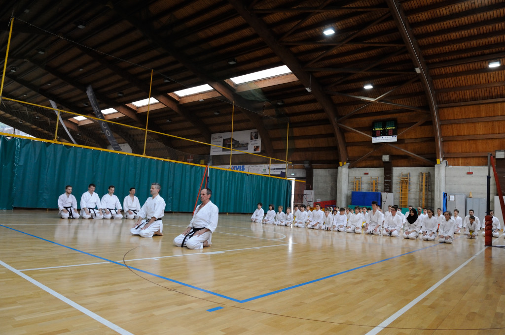 Trissino 30 maggio 2015 KARATE