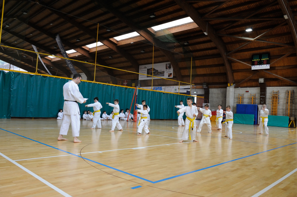 Trissino 30 maggio 2015 KARATE