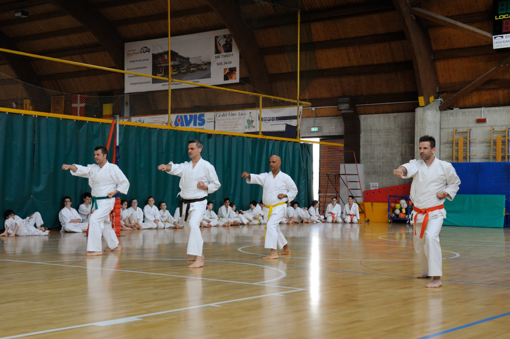 Trissino 30 maggio 2015 KARATE