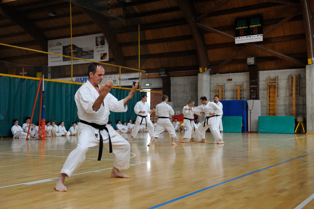 Trissino 30 maggio 2015 KARATE