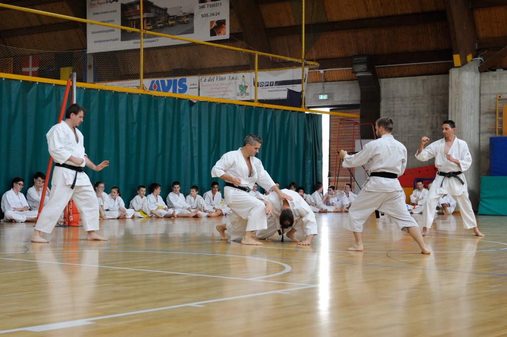 Trissino 30 maggio 2015 KARATE