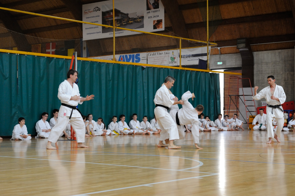 Trissino 30 maggio 2015 KARATE